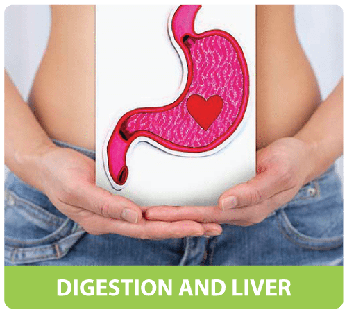 TREATMENT OF DIGESTION AND LIVER ISSUES HEALTH RETREAT