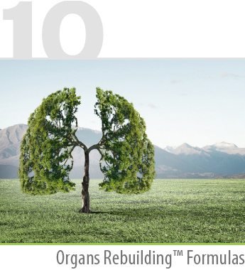 organ-rebuilding-formulas Organs Rebuilding™ Formulas