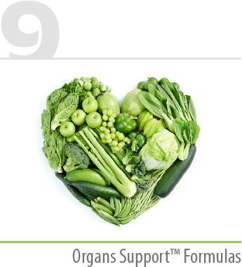 organ-support-formulas Organs Support™ Formulas