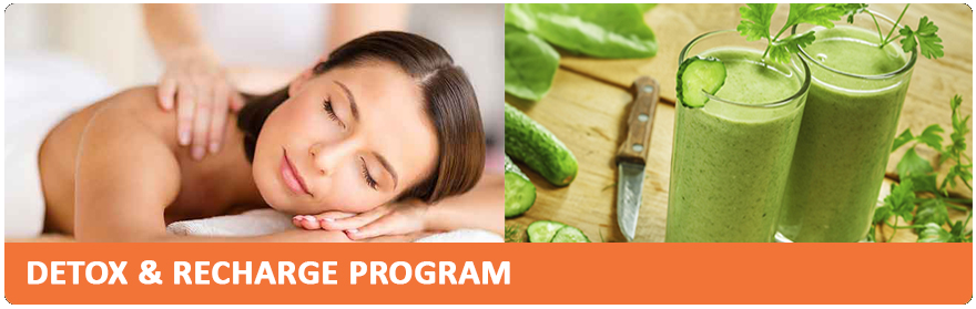 DR Program